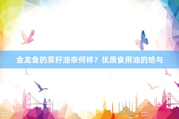 金龙鱼的菜籽油奈何样？优质食用油的给与