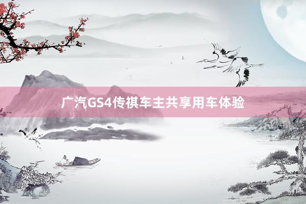 广汽GS4传祺车主共享用车体验
