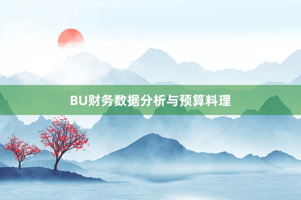 BU财务数据分析与预算料理